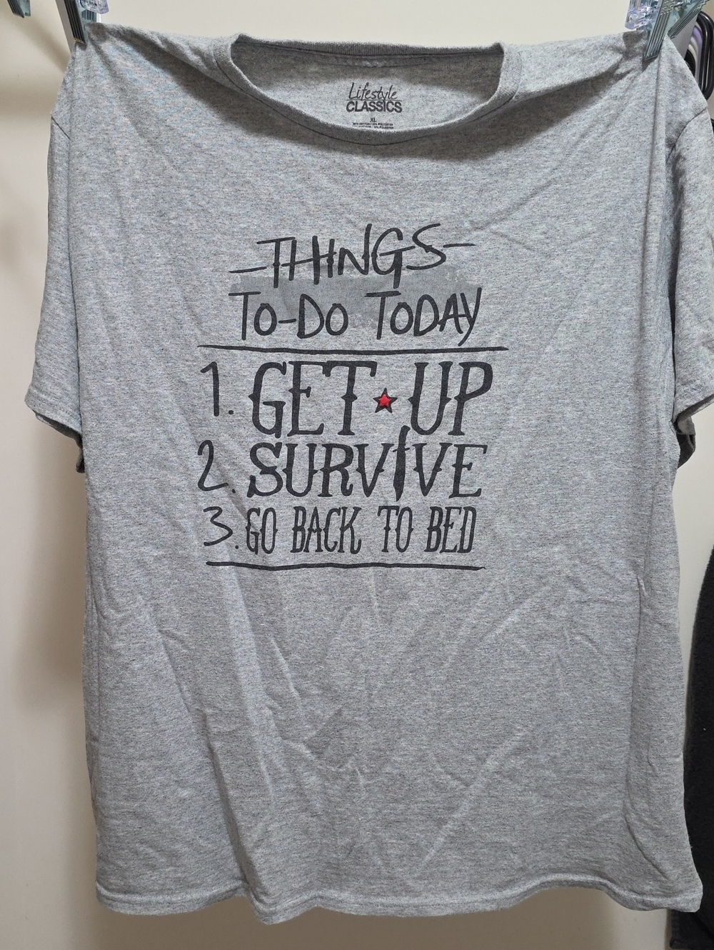 Men's Gray Graphic Tee - 'Things To Do Today'